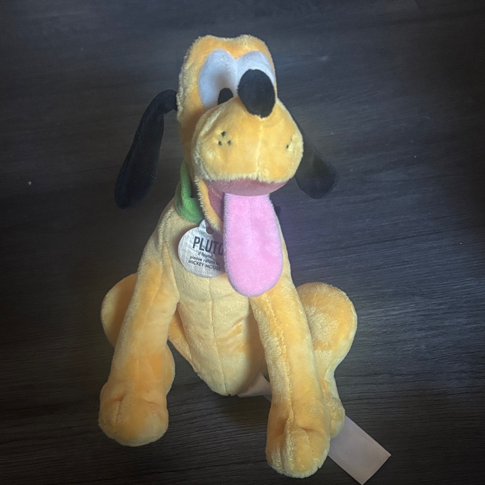 Pluto plush toy from Disney World